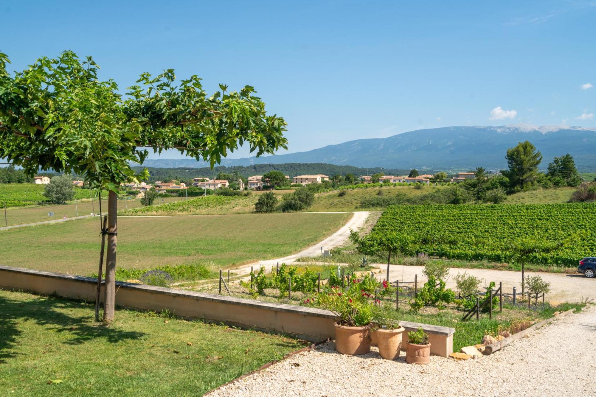 Les Terrasses De Cascavelle * Blauvac